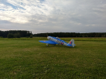 Sea Fury von Top Flite (USA)