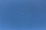178847028311.jpg