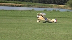 Sopwith Pup (Toni Clark)